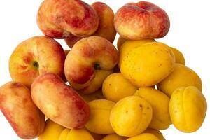 Pink peaches and yellow apricots stacked in a large pile. White background photo