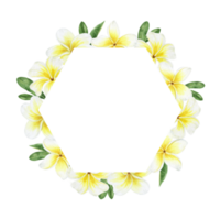 Yellow plumeria flowers. Tropical exotic flowers. Watercolor frame. For greeting cards, postcard, scrapbooking, packaging design png