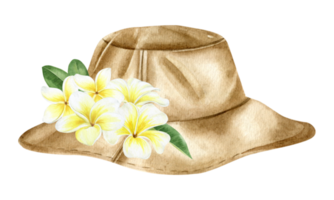 Brown sun hat with plumeria flowers. sun protection. Beach Headwear. Vacation accessories and clothing style element. Watercolor hand drawn illustration. Isolated. png