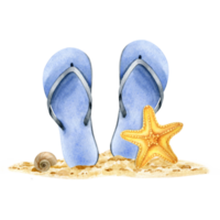 strand blauw slippers in de zand. oranje zeester, schelp, nautilus. toerisme. zomer vakantie. waterverf illustratie. geïsoleerd. voor toerisme bedrijf, reclame, ansichtkaarten png