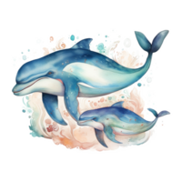 Mom and Baby Whale Watercolor Art, png