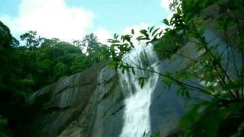 tropisk skog vattenfall, langkawi, malaysia. video