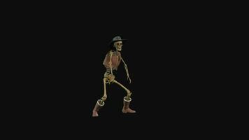 Skeleton Dance Animation video