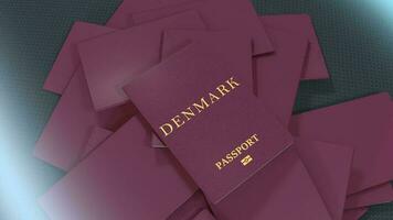 artiste le rendu Danemark Voyage passeport. video