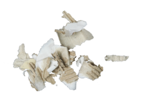 close up of a white ripped piece of paper with copyspace. torn paper  isolated transparent png 25921219 PNG