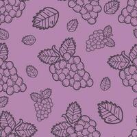 Hand drawn line art fruits seamless pattern grapes and leaves vector