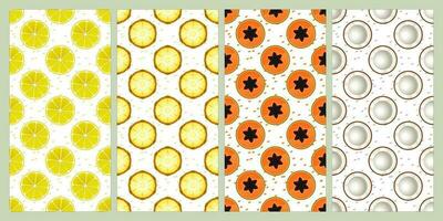 conjunto de sin costura modelo. limón, piña, papaya, Coco. Fruta modelo. verano modelo. patrones para textiles o para cubre fondos de pantalla vector