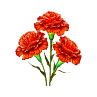 mãe dia flor png