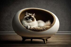 cat in a luxury cat bed illustration photo