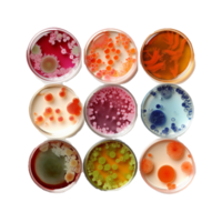 Petri dishes AI Generated png