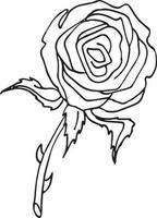 Rose, Hand drawn vector illustration, floral line drawing, set of monochrome flower, line art, black and white, illustration, vector