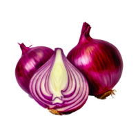 red fresh onion png