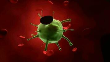 Virus cell infection in bloodstream. video