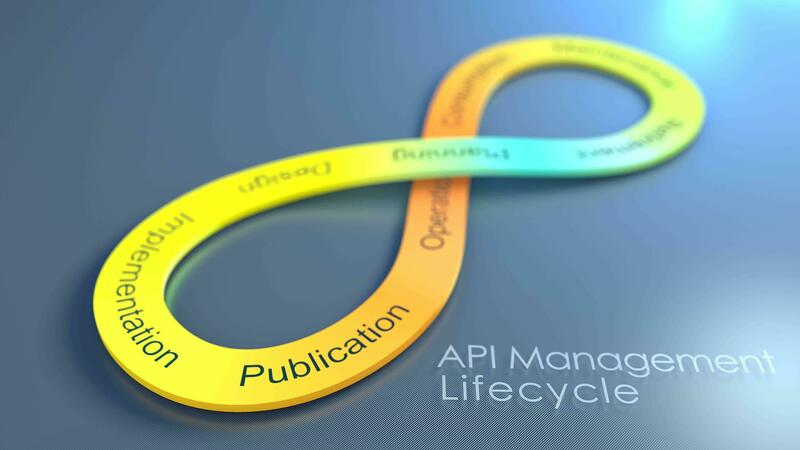 API Management Lifecycle concept animation background. 23964035 Stock ...