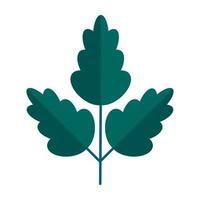 Green branch of tree with leaves simple minimalistic. Floral collection of elegant plants for seasonal decoration . Stylized icons of botany. Stock vector illustration in flat style isolated on white