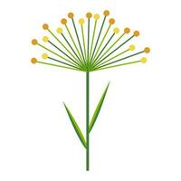 Umbrella of dill or cereal plant. Simple minimalistic bright green branch with leaves and yellow flowers. Nature collection of colorful plants for seasonal decoration . Stylized vector icon of botany.