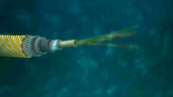 Subsea communication cable video