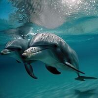 Wild happy dolphins in their natural habitat photo