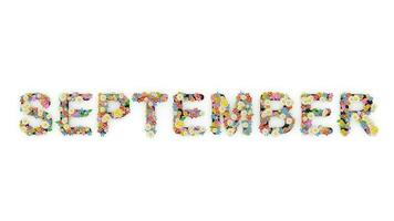 floral calendário mês texto animação, setembro. video