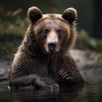 Wild bear in natural habitat AI generated photo