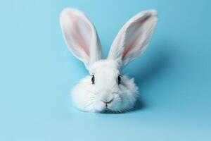 White rabbit ear on pastel blue background. Easter day. illustration photo