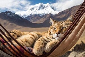 un aburrido gato dormido en un hamaca en frente de el himalaya ilustración generativo ai foto