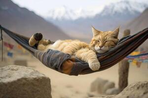 un aburrido gato dormido en un hamaca en frente de el himalaya ilustración generativo ai foto