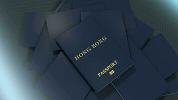 artiste le rendu Hong kong Voyage passeport. video