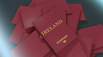 artiste le rendu Irlande Voyage passeport. video
