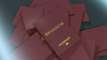 Artist rendering Belgium travel passport. video