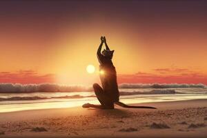 cat practicing yoga on the beach at sunset illustration photo