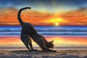 cat practicing yoga on the beach at sunset illustration photo