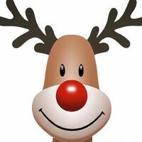 Rudolph the Red-nosed Reindeer illustration, Christmas concept photo