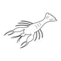 shrimp logo vector illustration design