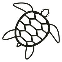 turtle vector illustration design