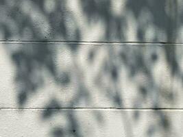 Leaves shadow background on concrete wall texture, leaves tree branches shade with sunlight photo