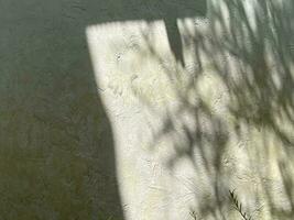 Leaves shadow background on concrete wall texture, leaves tree branches shade with sunlight photo