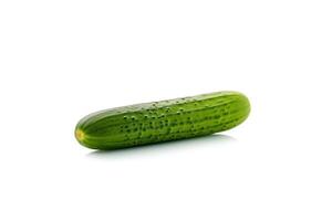 One fresh green cucumber isolated on white background. photo