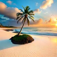 view of the beach with coconut trees. . photo