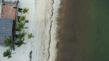 antenn se av Drönare flygande ovan hav med visningar av hav vågor och vatten kraschar till sandig strand från en topp vinkel video