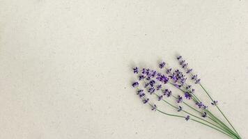 Natural lavender flowers on craft paper with space for text on the left. photo