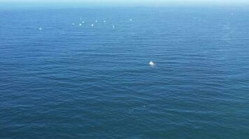 ver de zumbido de barco de viaje en Oceano con azul cielo video