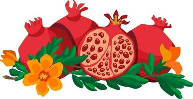 Flat style four whole pomegranate fruits with leaves and flowers on white background vector