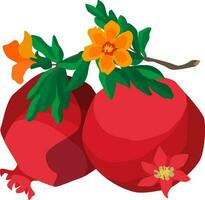 Flat style two whole pomegranate fruits with leaves and flowers on white background vector