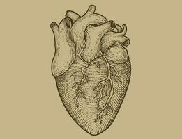 illustration antique heart with engraving style vector