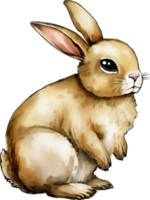 Aquarell Ostern traditionell Elemente png