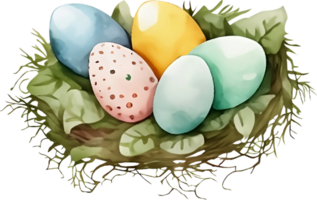 Watercolor Easter Traditional Elements png