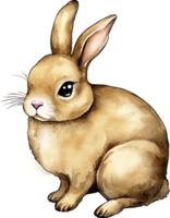 Aquarell Ostern traditionell Elemente png