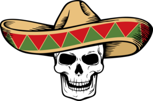 sombrero e umano cranio. png illustrazione.