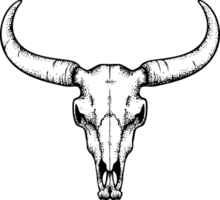 Bull Skull PNG Illustration